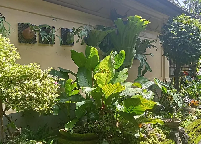 Dewi Antara Casa de hóspedes
