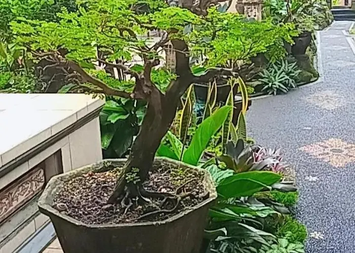 Dewi Antara Casa de hóspedes Ubud